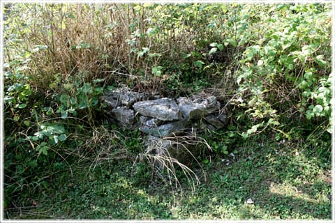 Medeltida ruin i Etelhem