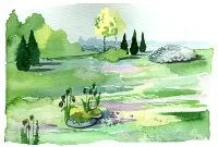 Naturi , illustration Lotta Ingelse