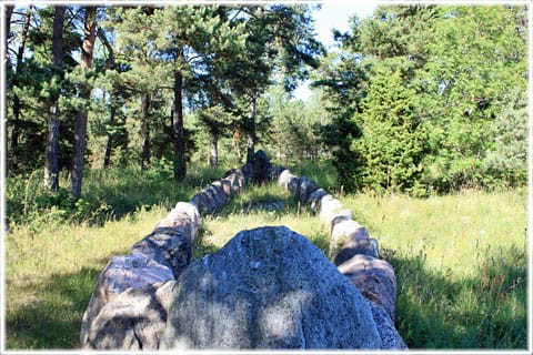 Gräne skeppssättning, foto Bernt Enderborg