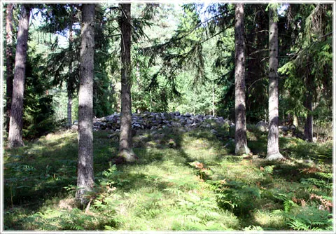 Stenröse i Västerbykvia, Djaurgatu, foto Bernt Enderborg