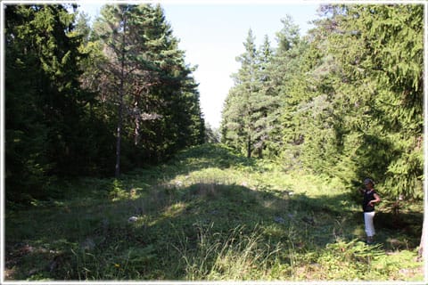 Fornborg Gothemhammar