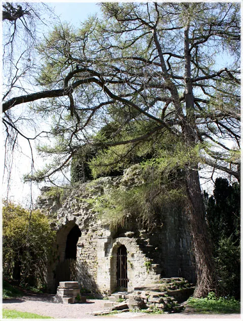S:t Olof ruin, foto Bernt Enderborg