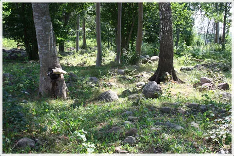 Ett gravfält i Sanda, foto Bernt Enderborg