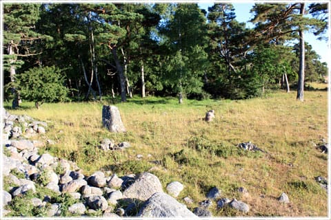 Stenröset vid Snoder i Sproge