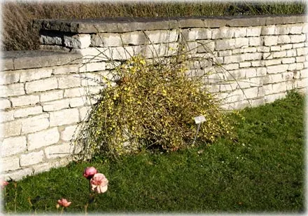 Gotland året runt , foto Bernt Enderborg