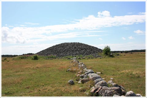 Stainvastar, gärdsgård, Uggarde rojr