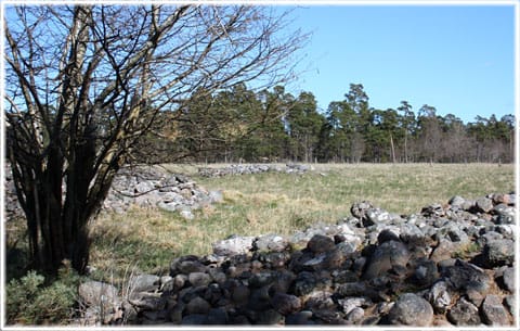 Gravfältet Bjärs i Hejnum
