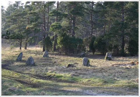 Domarringen vid Sojvide i Sjonhem, foto Bernt Enderborg