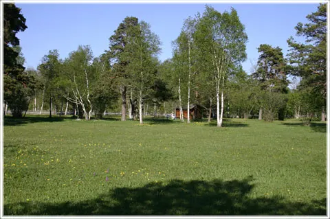 Anga prästänge, foto Bernt Enderborg