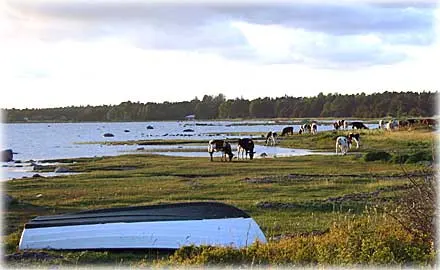 De riktiga sevärdheterna , foto Bernt Enderborg