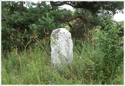 En vägsten från 1782, foto Bernt Enderborg