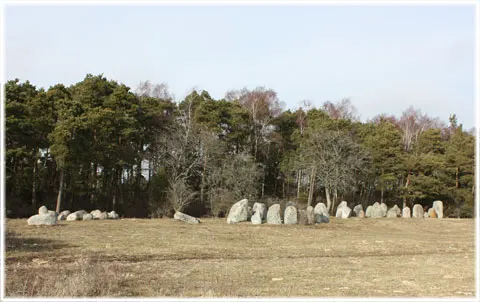 Bandeläins täppu, foto Bernt Enderborg