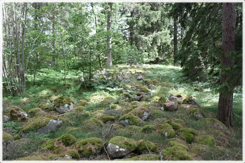 Långmyrsborg, foto Bernt Enderborg