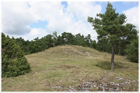 Visbjerg, foto Bernt Enderborg