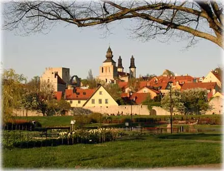Tillväxt Gotland, föreningsstämma 5 maj 2008 , foto Bernt Enderborg