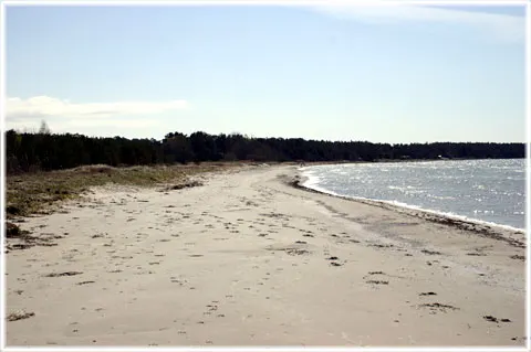 Bottarvestranden eller Gustavs, foto Bernt Enderborg
