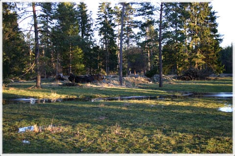 En annan kämpgrav vid Tuna i Viklau