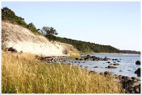 Häftings klint