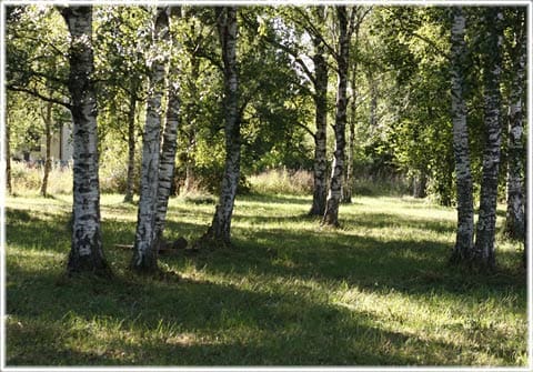Kyrkänget i Hangvar