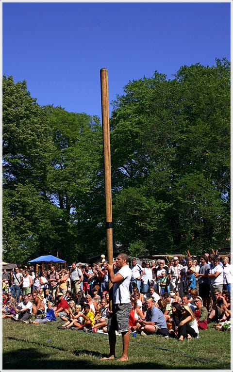 Störta stång