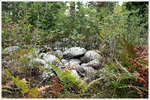 Kräklings fornborg, foto Bernt Enderborg