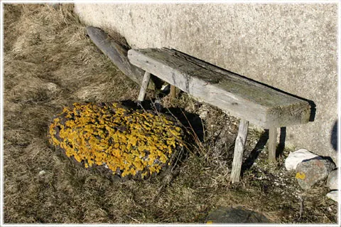 En dåres grepp, skamliga greppet, foto Bernt Enderborg