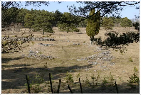 Husgrunder från järnålder, kämpgravar, stavgard