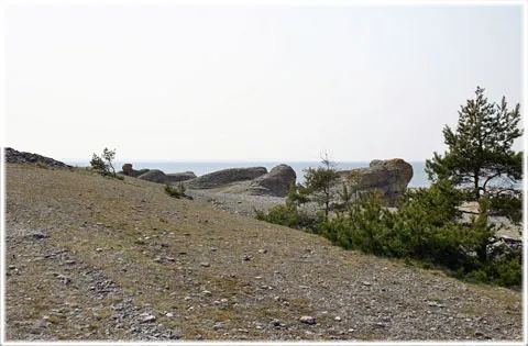 Gamle hamn, foto Bernt Enderborg