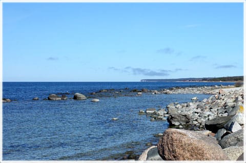 Kusten vid Själsö