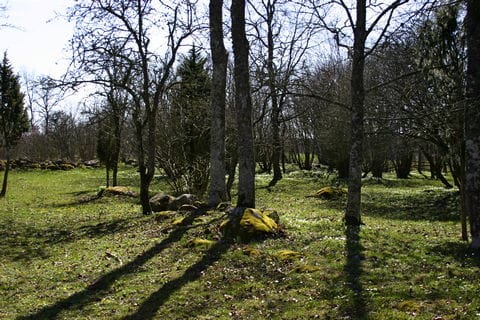 Stabbgard, Stånga