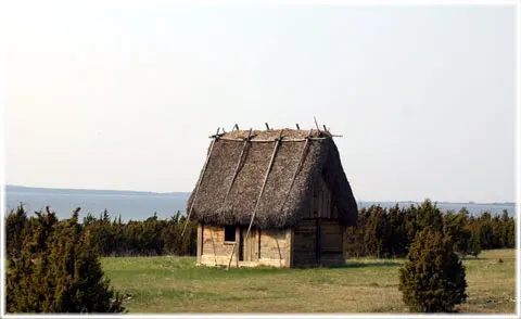 Fårö, foto Bernt Enderborg
