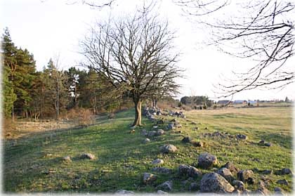 Västergarnsvallen