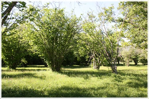 Fardhem prästänge