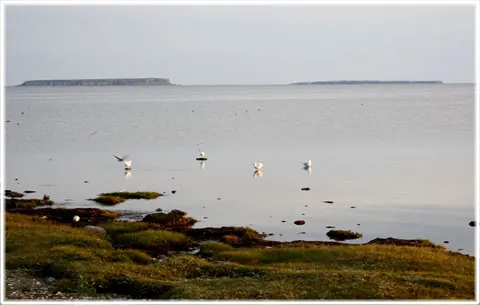 Öar runt Gotland, foto Bernt Enderborg