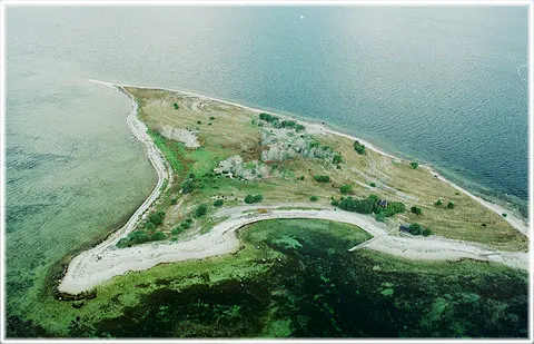 Skarpholmen, foto Björn Pettersson