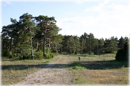 Ölbäcks , foto Bernt Enderborg