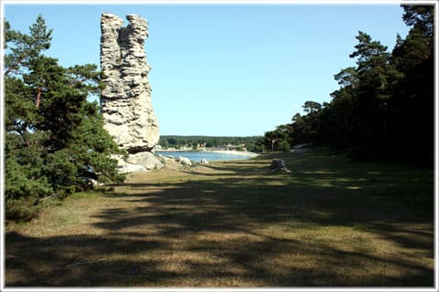 Jungfrun i Lickershamn, Gotlands högsta rauk