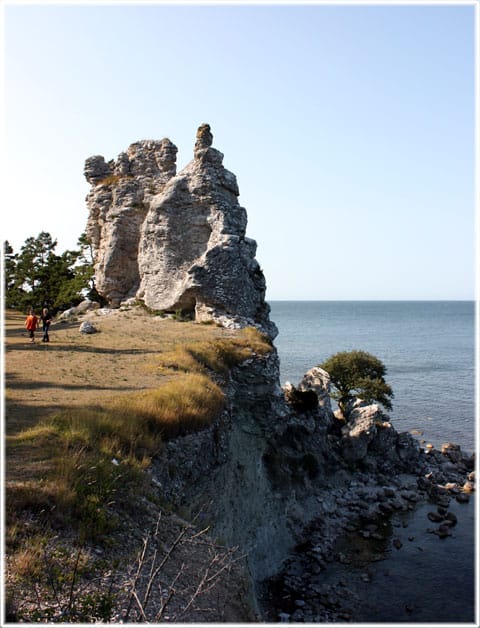 Jungfrun i Lickershamn, Gotlands högsta rauk