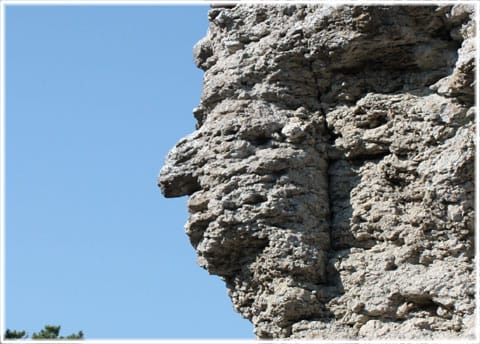 Jungfrun i Lickershamn, Gotlands högsta rauk