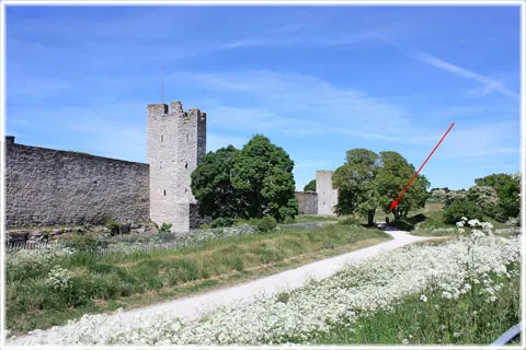 Ringmurens storlek, foto Bernt Enderborg