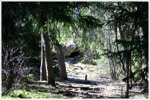 Naturstigar på Gotland, foto Bernt Enderborg
