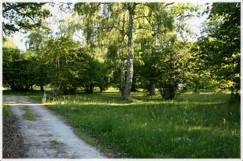 Hemängen i Ljugarn, foto Bernt Enderborg