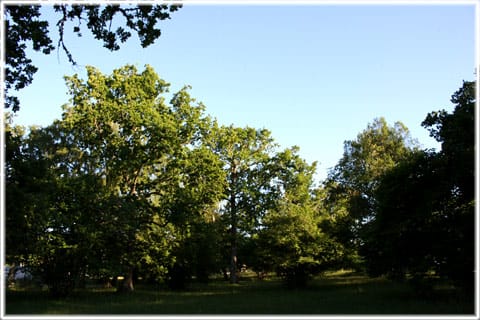 Hemängen i Ljugarn