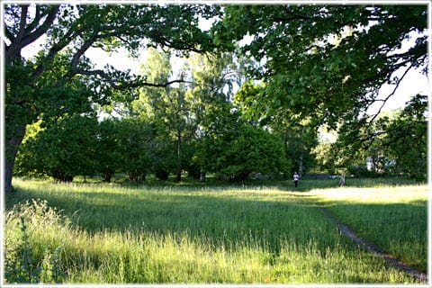 Hemängen, Ljugarn, Ardre