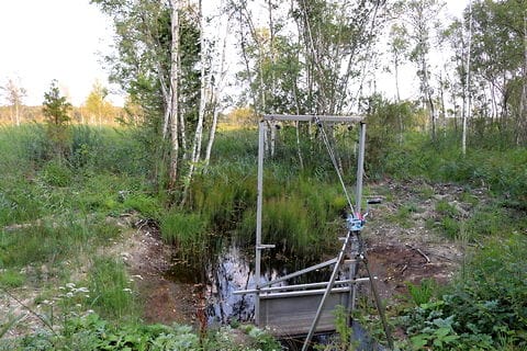 Killingmyr, våtmark, Hejnum