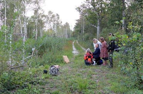 Killingmyr, våtmark, Hejnum, Karin Mårtensson