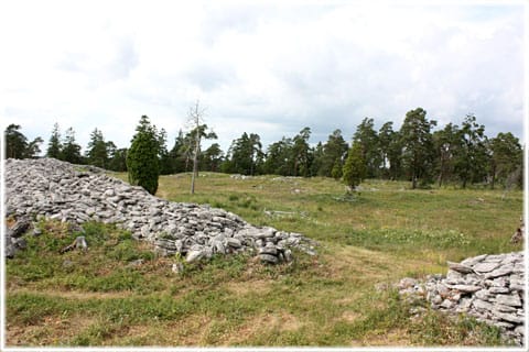 Herrgårdsklint