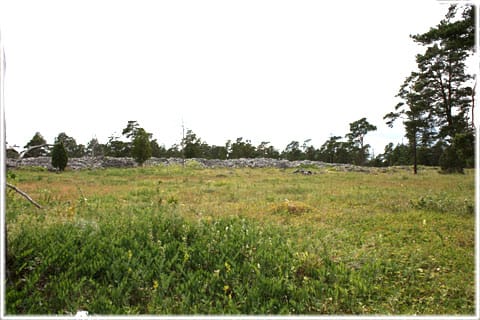 Herrgårdsklint