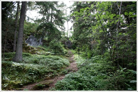 Herrgårdsklint