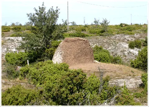 Gullstaini - guldstenen, foto Bernt Enderborg